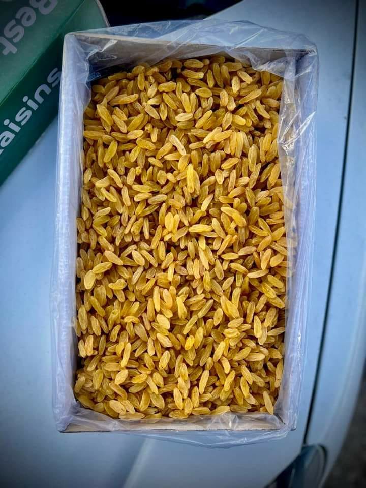 veg farm investments