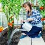 Contract farming investment