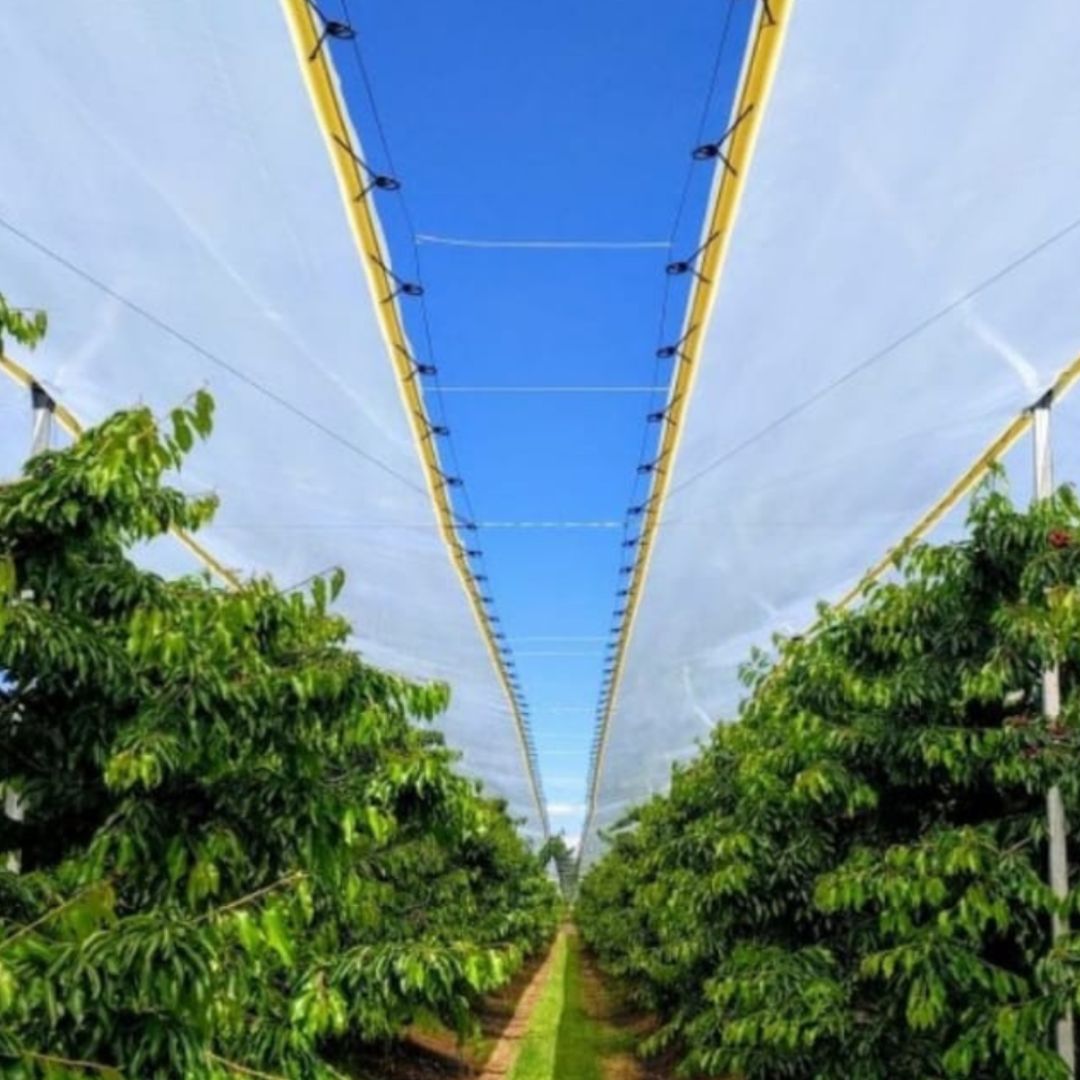 Farming investment consultancy