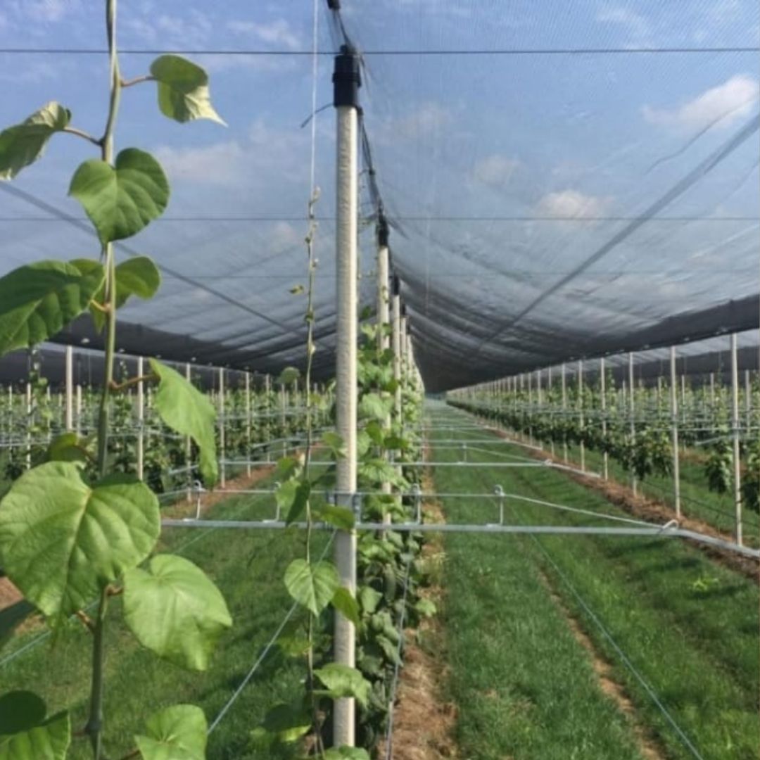 agriculture related business