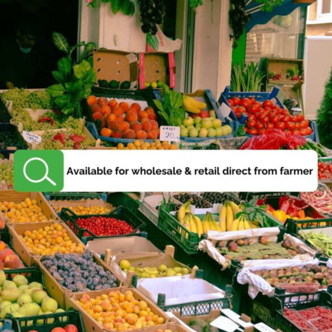 vegetables and fruits wholesale