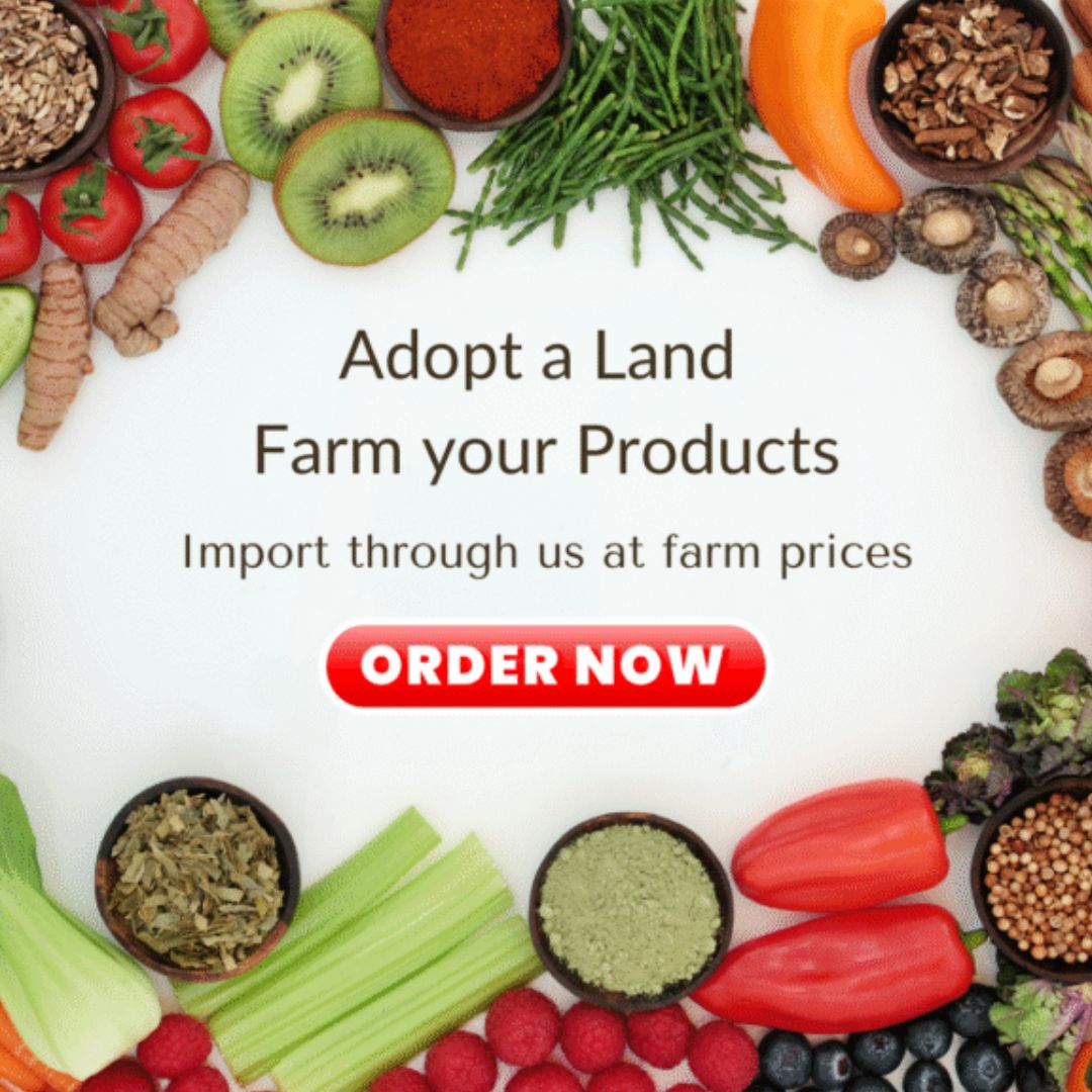 vegetables farming investment