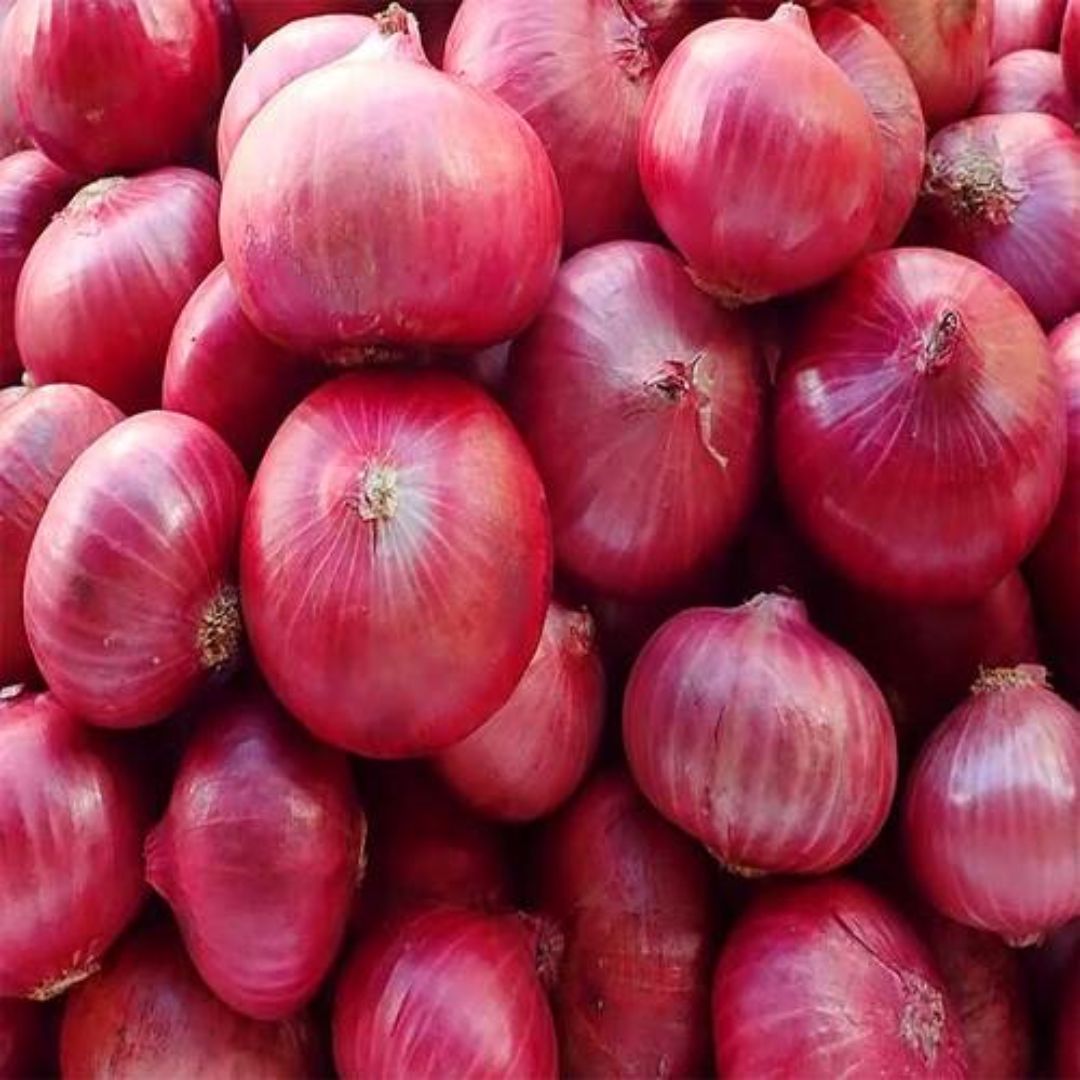 onions in bulk